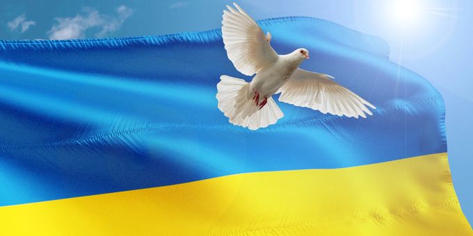 Symbolbild friedenstaube ukraine